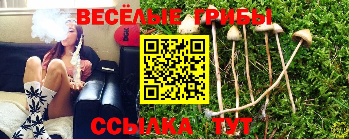 Троицк  Галлюциногенные грибы мицелий  Псилоцибиновые грибы MAGIC MUSHROOMS  купить   Вход с VPN 